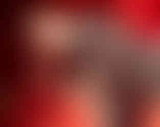 © Myke Gray Photography