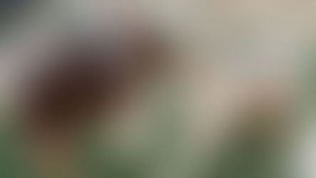 ゴールデンウィーク!