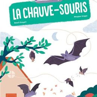 Suis-du-doigt-la-Chauve-Souris.jpg