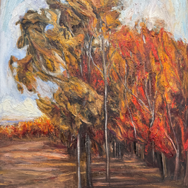 landscapes Τοπία 