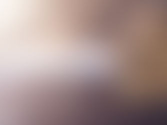 Imissão na Posse em Leilões de Imóveis: Aspectos Jurídicos de Vital Relevância.