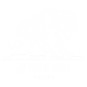 Team King Racing Logo