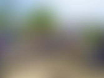 魚見山 2025/09/03