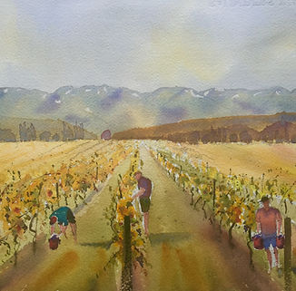 Dave Attwell_Vineyard