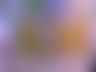 ASSIIP NO CONNECT ACIM 2024