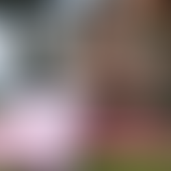 Hokus pokus: la magia del agradecimiento