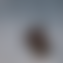 La importancia de soñar