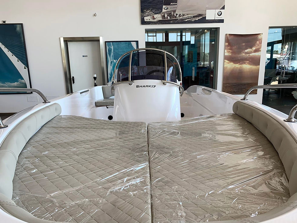 Miniatura: RANIERI SHARK 17 OPEN