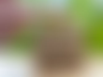 Cybersecurity Isn’t an IT Problem—It’s a Leadership Problem