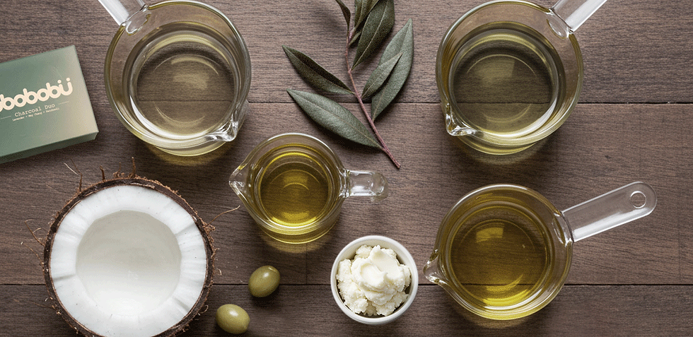 The Beauty Benefits of Each Butter & Oil