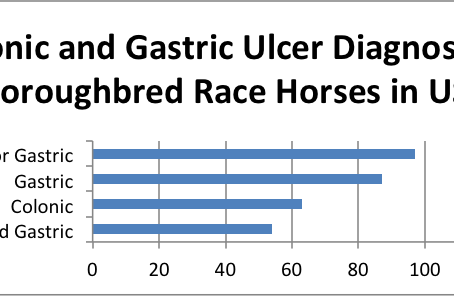 Advancing Equine Health: Harnessing Misoprostol for Gastric and Colonic Ulcer Relief in Horses