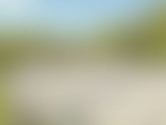 Understanding Copper Deficiency in Performance Horses: Causes, Symptoms, and Treatment