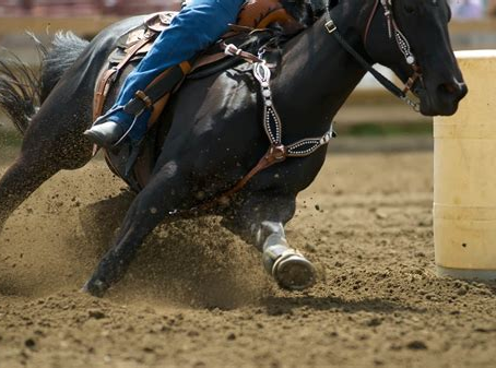 Pentosan Gold: Revitalizing Equine Joints with Sodium Pentosan Polysulfate and Glucosamine