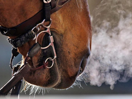 The Art of Horseback Archery: Combining Skill and Tradition in a Unique Sport