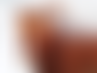 Can Horses Get Frostbite?