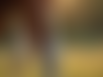 L-Arginine for Horses: Enhancing Equine Health and Performance