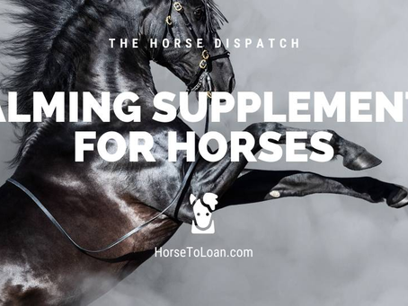 Discovering the Best Calming Agents for Horses: A Guide to Equestrian Tranquility