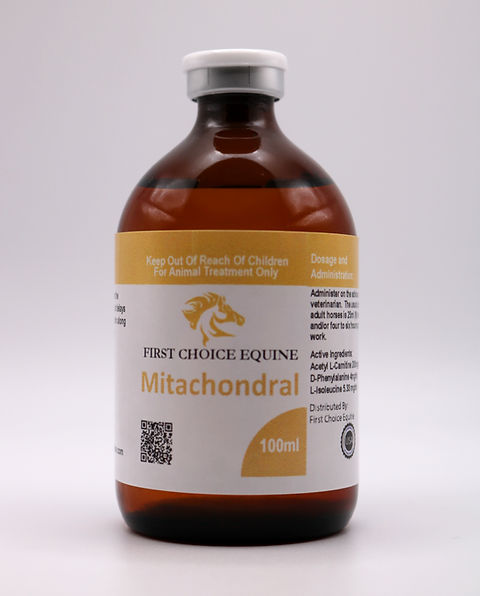 benefits of l carnitine bodybuilding The Benefits (and Limitations) of L-Carnitine for Fat Loss benefits of l carnitine bodybuilding The Benefits (and Limitations) of L-Carnitine for Fat Loss