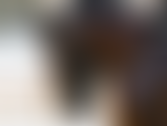 Popular Equestrian Liniments For Your Horse