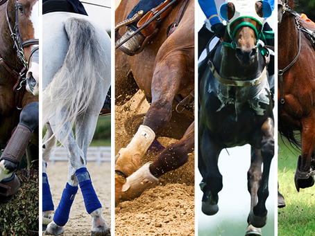 Ergonovine: A Promising Approach in Preventing Pulmonary Hemorrhage in Training Horses