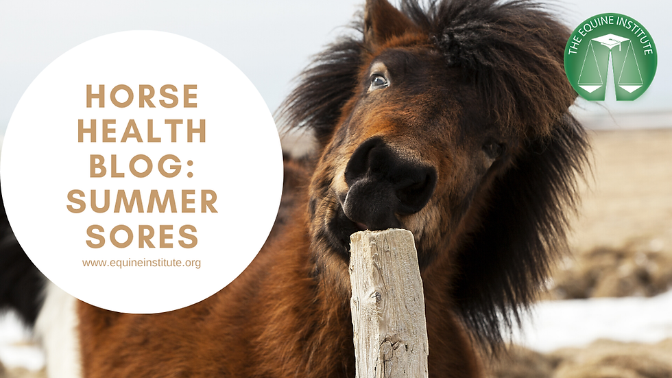 Understanding Cutaneous Habronemiasis ("Summer Sores") in Horses