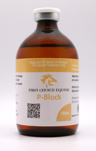 P-Block 100ml | First Choice Equine