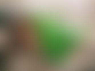 Unlocking Equine Wellness: The Healing Power of Oregano Oil"