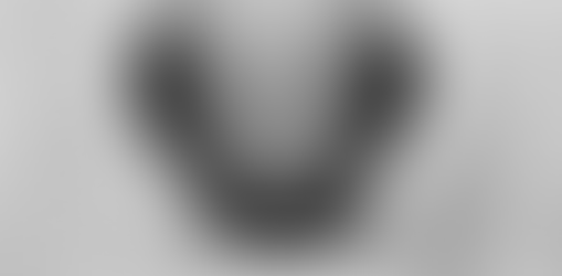 Black Seed Oil for Horses: A Natural Solution to Prevent Tying Up