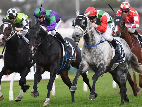 Tip Of The Day: Hind End Stances and What They Could Mean