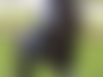 The Power of Cordyceps for Horses: A Game-Changer for Testosterone, Endurance, and Immunity