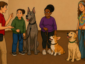 Tips for Success in Group Dog Training Classes
