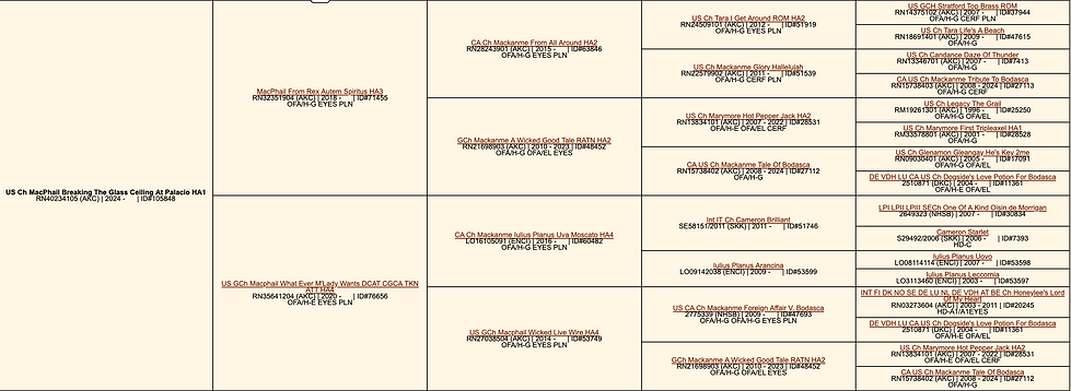 Screenshot 2025-12-28 at 1.24.56 PM.png