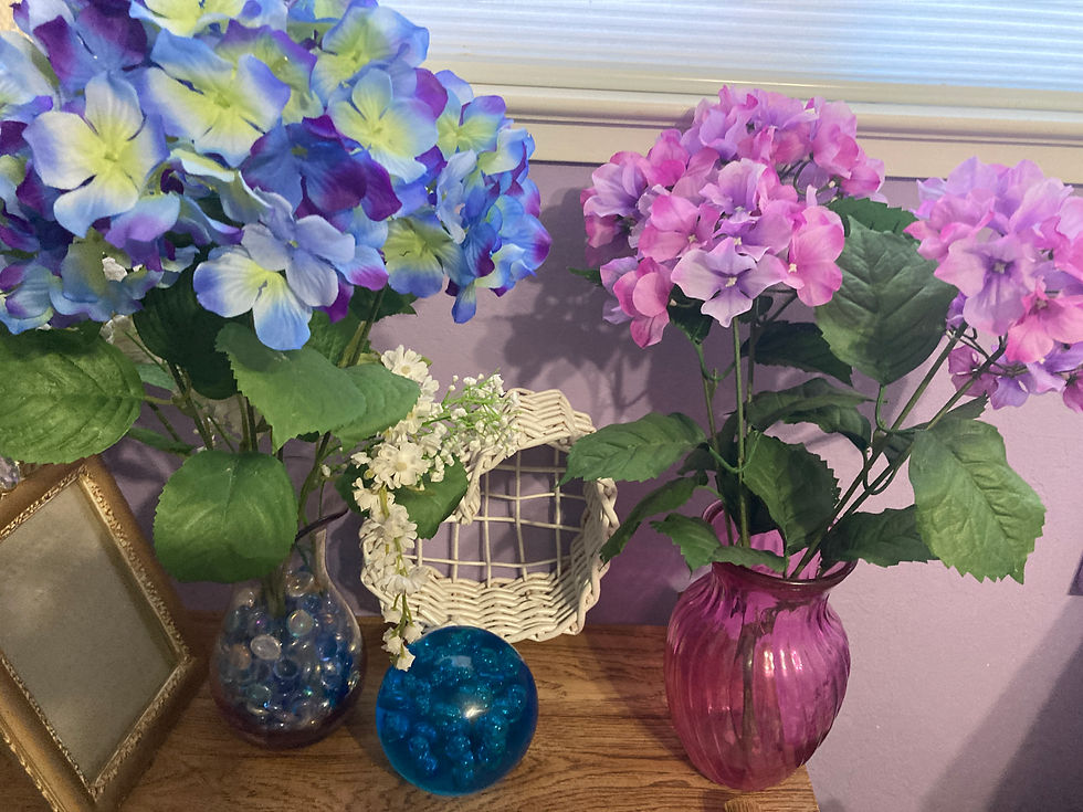 Thumbnail: Bolos-estate-sale-san-jose-california