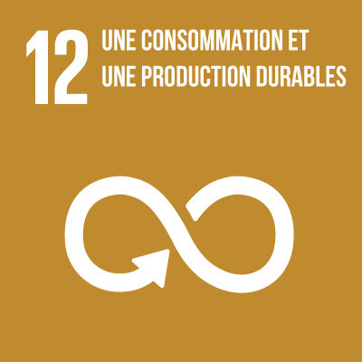 Cap sur demain, nos projets phares en action