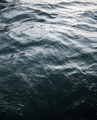 jsb-co-v1XFMSCy58A-unsplash_edited.jpg