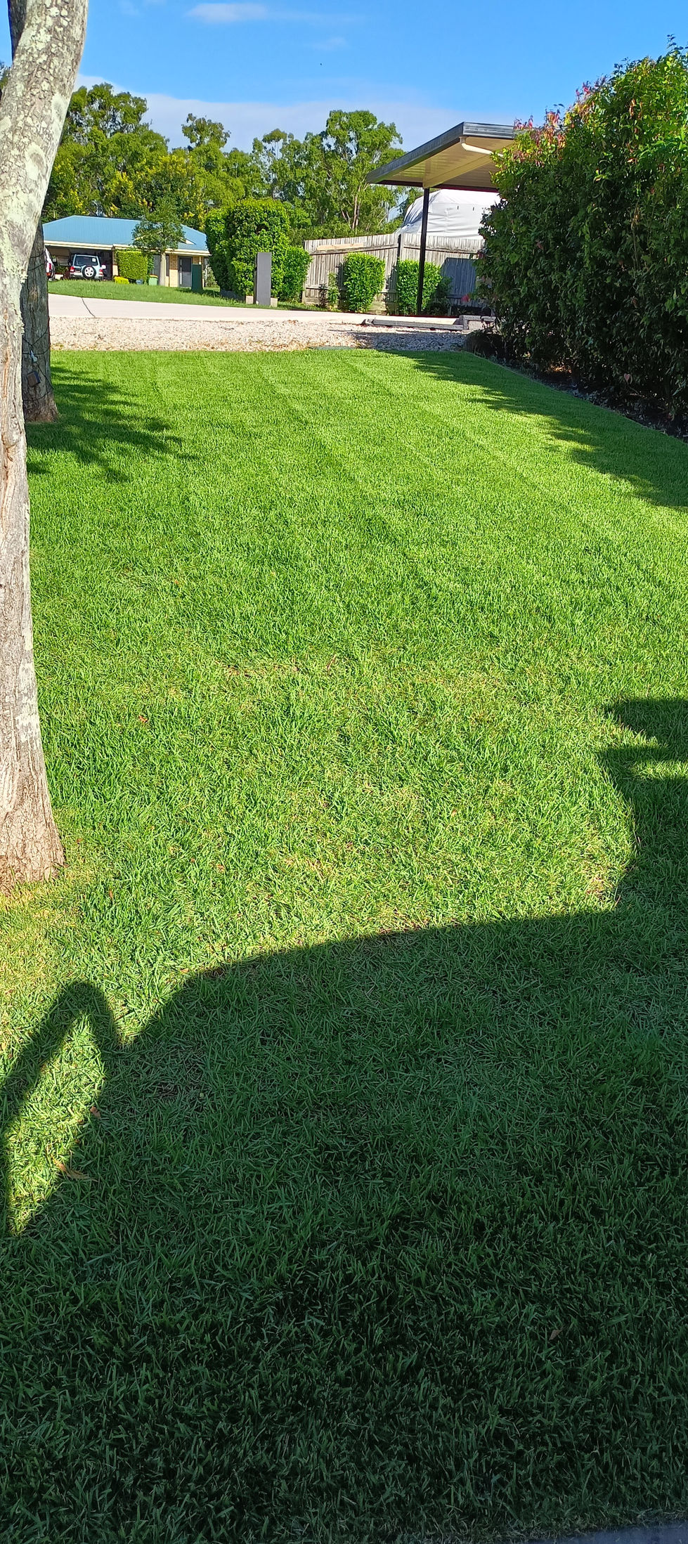 IMG20240201163407.jpg