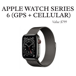 Apple Watch Series 6 (GPS + Cellular)