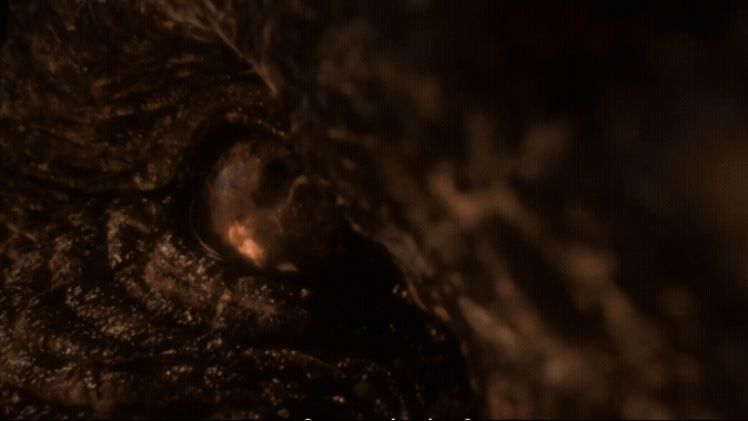 Projeto Converter em GIF - 20 de outubro de 2026 às 11.19.56.gif