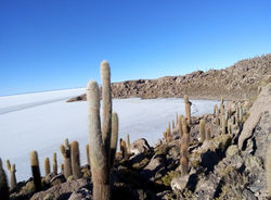 ISLA INCAHUASI