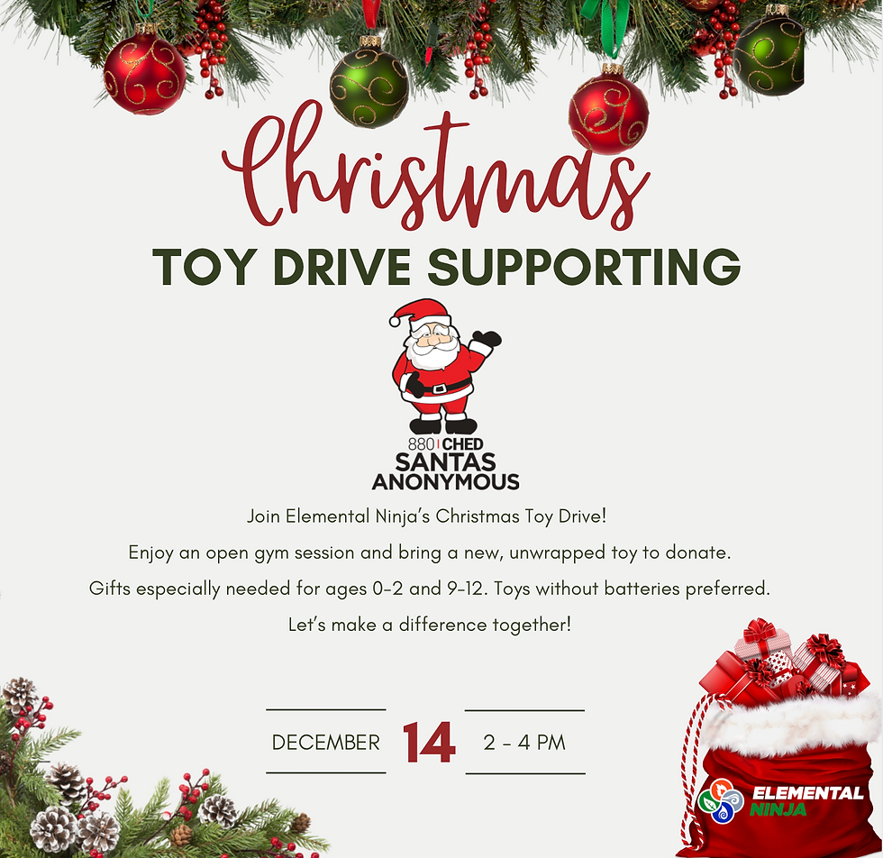 Toy Drive Elemental Ninja Poster