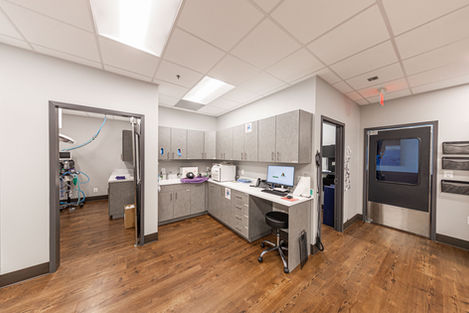 Loudoun Urgent Vet. by Dexios Design-023.jpg