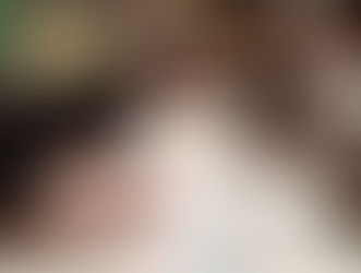 ブレインジムフェスティバルについて