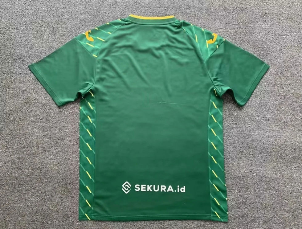 Miniatura: Norwich City 2024 Visitante 