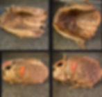 275715440_10158935410487979_859773257353720275_n