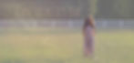Heading copy 16.jpg