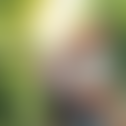 Was The Vegetable Garden Worth It?