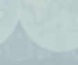 New Travel Montage Background_edited.jpg