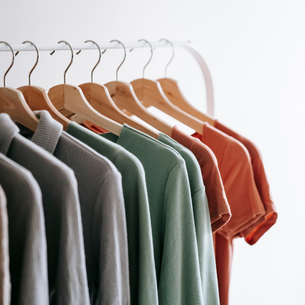 Wardrobes and Budgets