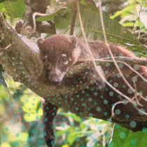 Returning to PachaMama and the Whirlwind