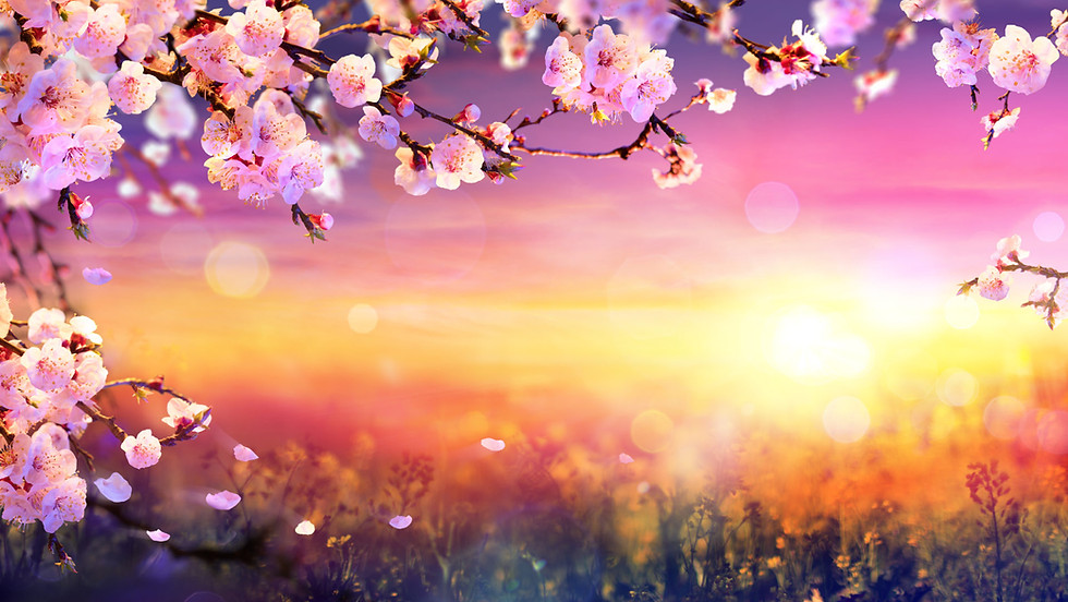 Spring into Spring – a seasonal celebration…..food, light & sex!